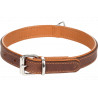 COLLIER SEATTLE EN CUIR POUR CHIEN - FLAMINGO