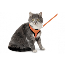 HARNAIS + LAISSE HARMS ORANGE & NOIR POUR CHAT - FLAMINGO