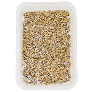 HERBES FRAICHES POUR CHAT - FLAMINGO
