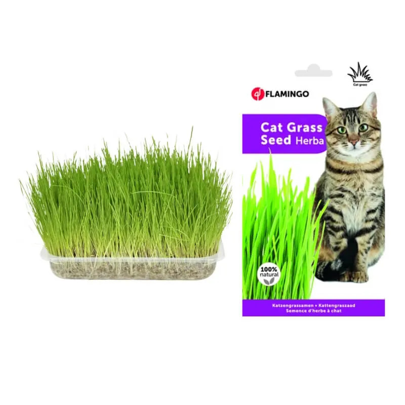HERBES FRAICHES POUR CHAT - FLAMINGO