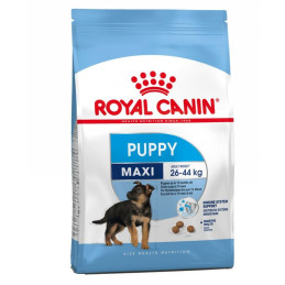 CROQUETTES POUR CHIEN - MAXI JUNIOR - ROYAL CANIN - 1KG