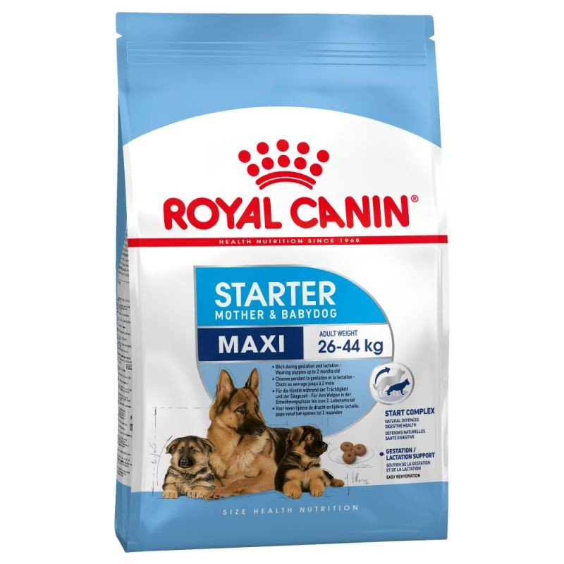 CROQUETTES POUR CHIEN - MAXI STARTER - ROYAL CANIN - 4KG