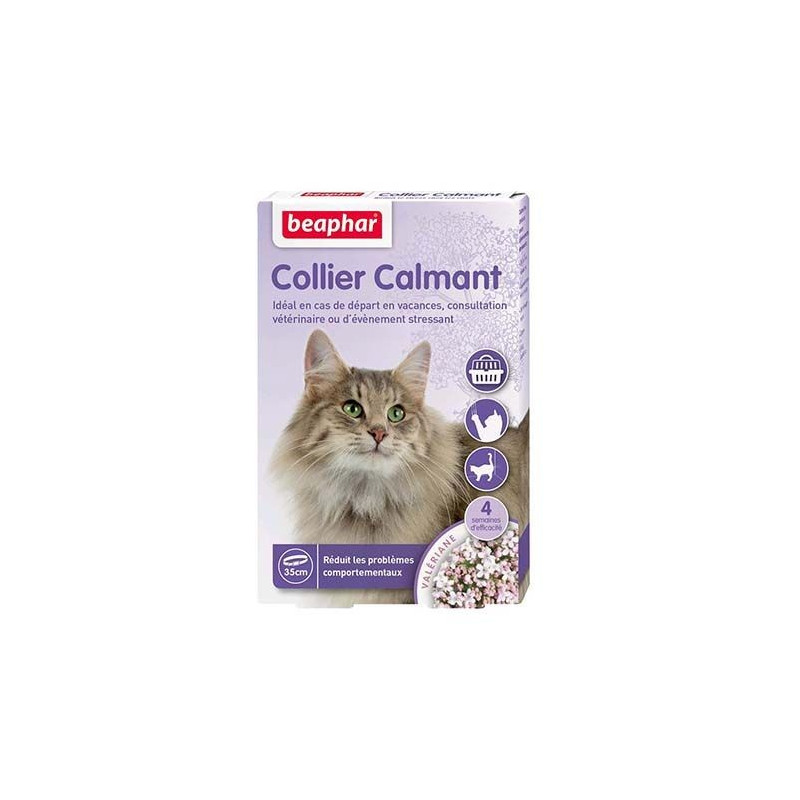Collier Calmant Pour Chat Collier Calmant Pour Chat