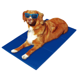 TAPIS RAFRAICHISSANT POUR CHATS ET CHIENS - CANIJESS