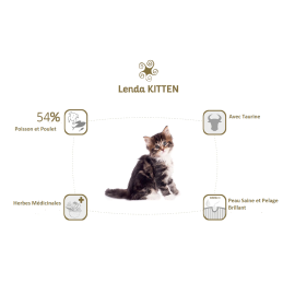 ② Lysine complètement alimentaire chat/chaton — Accessoires pour