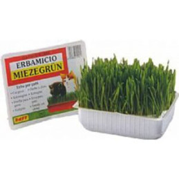 HERBES FRAICHES POUR CHAT - ERBA-TRIS - RAFF