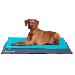 TAPIS RAFRAICHISSANT POUR CHIENS ET CHATS - FREEDOG